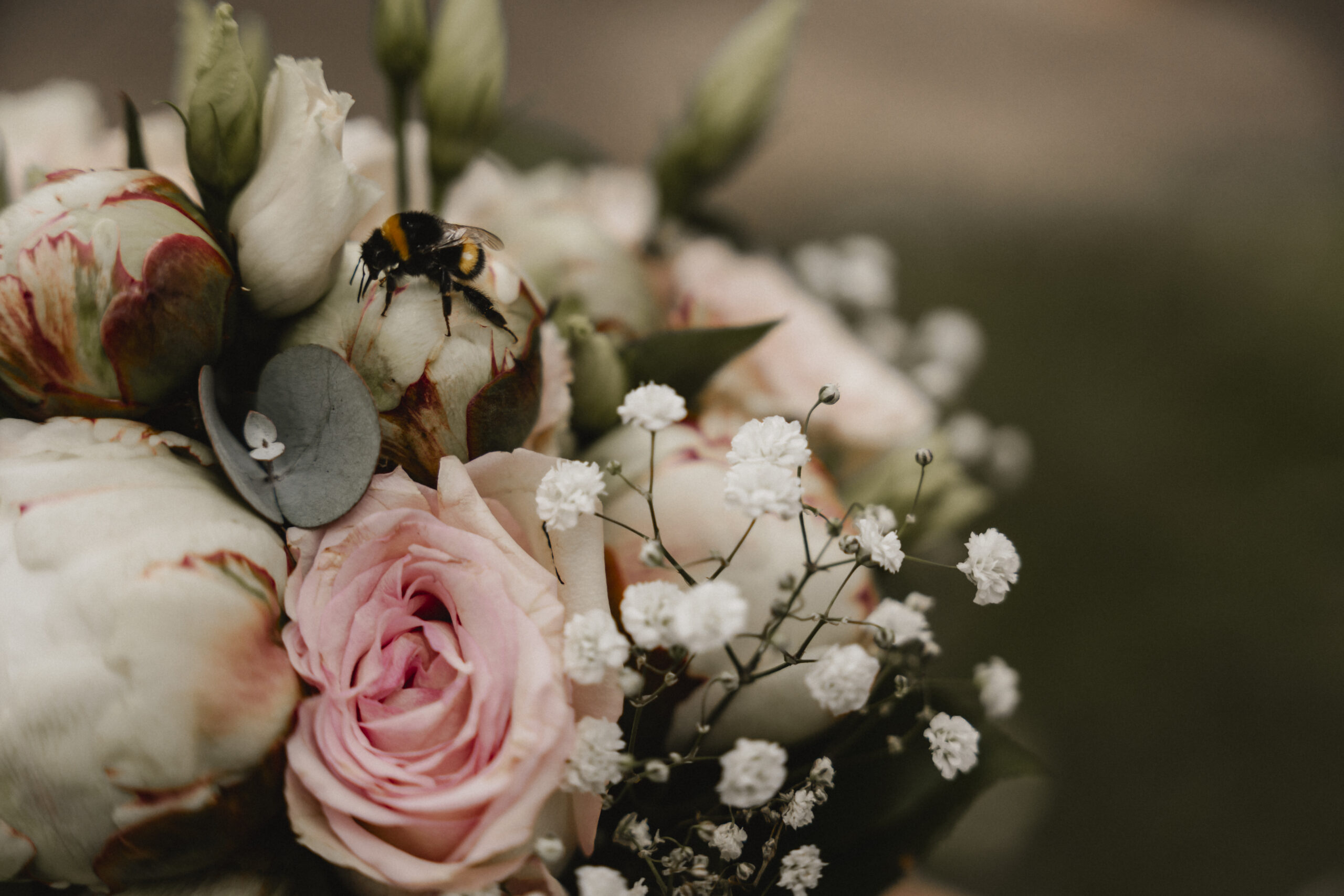 Eine Hummel sitzt auf einer Blüte in Alexas Brautstrauß